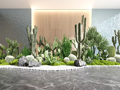 Indoor Garden Decor Interior With Cacti Succulents Stones Green Plants Moss And White Pebbles 3d model