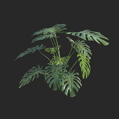 Modern Turtle Bamboo Penglai Banana Iron Silk Orchid Perforated Hiringia 3d model