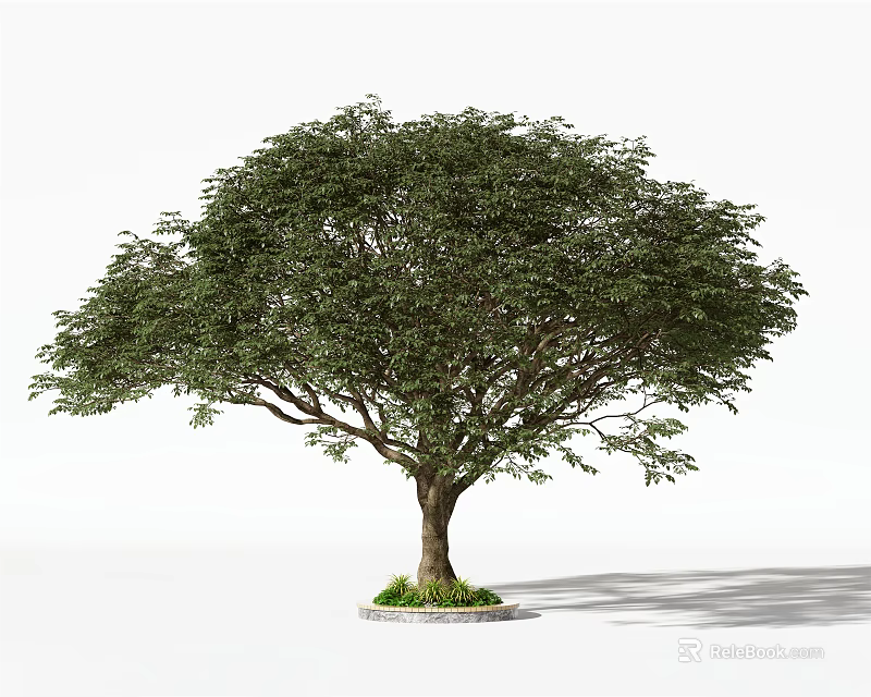 Lush Green Arbor Tree with Dense Foliage Strong Trunk and Circular Grass Base 3d model 