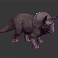 Detailed Realistic Triceratops Dinosaur Model With Three Horns And Frill