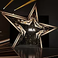 HLA Ceremony Event With Star Shaped Stage And Golden Decorative Design