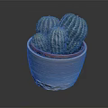 Green Striped Cacti Growing In Textured Beige Pot With Red Inner