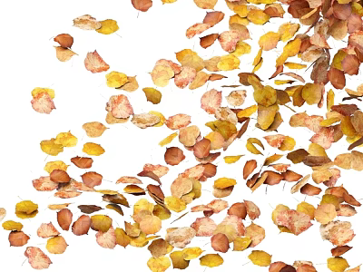 Colorful Watercolor Style Autumn Fallen Leaves Horticultural Ornaments For Backyard Outdoor Garden Landscape Decoration 3d model