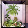 Glass Enclosed Indoor Landscape Featuring Large Palm Tree Green Plants And Pink Wall