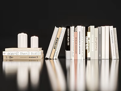 Modern Book Ornaments 3d model