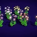 Colorful Flowering Plants With Green Leaves And Multiple Color Blooms