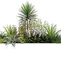 Diverse Garden Flowers and Plants with Purple Blooms Yellow Flowers and Green Leaves