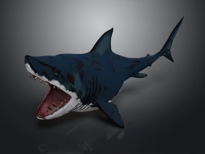 Fierce Dark Blue Shark With Open Mouth And Sharp Teeth Detailed Texture 3d model