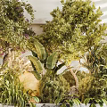 Vibrant Indoor Landscape Featuring Lush Greenery Purple Flowering Plants And Natural Decor
