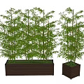 Modern bamboo 3d model