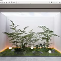 Modern Garden Nook With Bamboo Green Foliage Round Lights Stones And Ground Lighting
