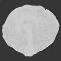 Grayish White Mushroom With Dark Spots Wavy Edge And Brown Stem On Deep Red Background