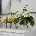 Various Potted Plants in Indoor Space with Diverse Flower Pots and Green Decorative Elements