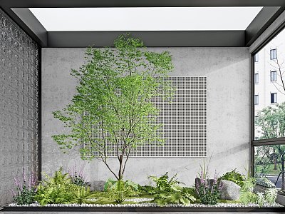 Modern landscape sketch courtyard sketch plant landscaping rockery stone indoor landscape plant pile ferns model