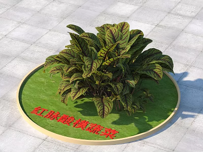 Vibrant Green And Yellow Striped Foliage Of Ornamental Plant In Round Grass Patch 3d model