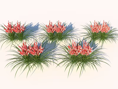 Clusters of Pink Flowers with Green Leaves in Decorative Garden Arrangement 3d model