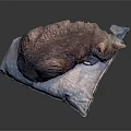 Cat Lying On Soft Blue Cushion Sleeping Peacefully And Comfortably 3d model