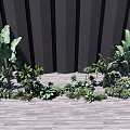Various Green Shrubs Varieties For Outdoor Garden Landscaping On Wooden Surface