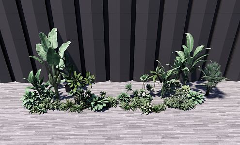 modern plant shrub 3d model