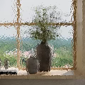 Green Plant In Ceramic Vase On Windowsill With Outdoor Scenery And Decorative Items