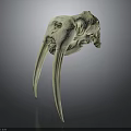Detailed White Animal Skull With Long Curved Ivory Tusks On Dark Reflective Background