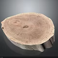 Natural Wooden Round Slice With Tree Ring Grain And Smooth Surface Decorative Piece 3d model