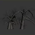 Dry Tree Branches with Twisted Trunks in Natural Artistic Structure 3d model