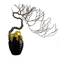 Floral Art Installation With Black Woven Vase Curved Bare Branches And Yellow Accents
