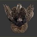 Lifelike Taxidermy Black Feathered Bird With Red Legs On Hay Base
