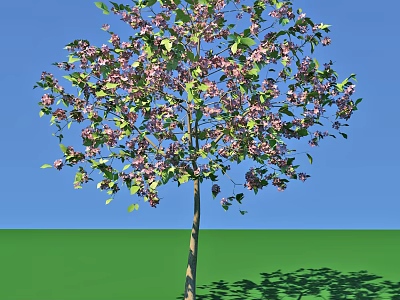 Arbor with Purple Flowers and Green Leaves Against Blue Sky and Green Ground with Shadow 3d model