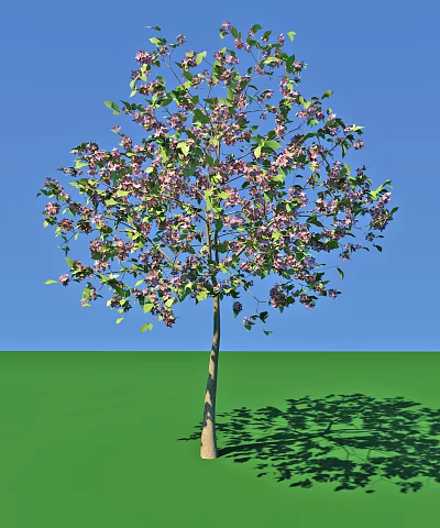 Arbor with Purple Flowers and Green Leaves Against Blue Sky and Green Ground with Shadow 3d model