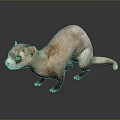 Realistic Ferret Light Brown And White Fur Standing On Dark Smooth Surface With Clear Reflection