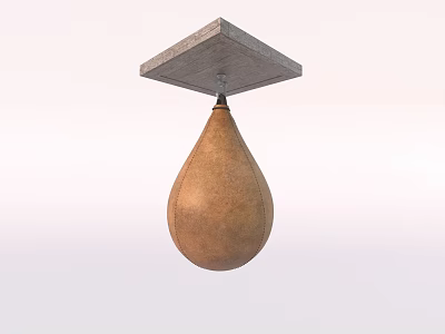 Durable Leather Punching Bag For Boxing Training Hanging From Ceiling Mount 3d model