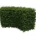 Green Trimmed Garden Hedge With Lush Foliage For Decorative Landscaping