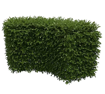 Realistic Hedge 3d model