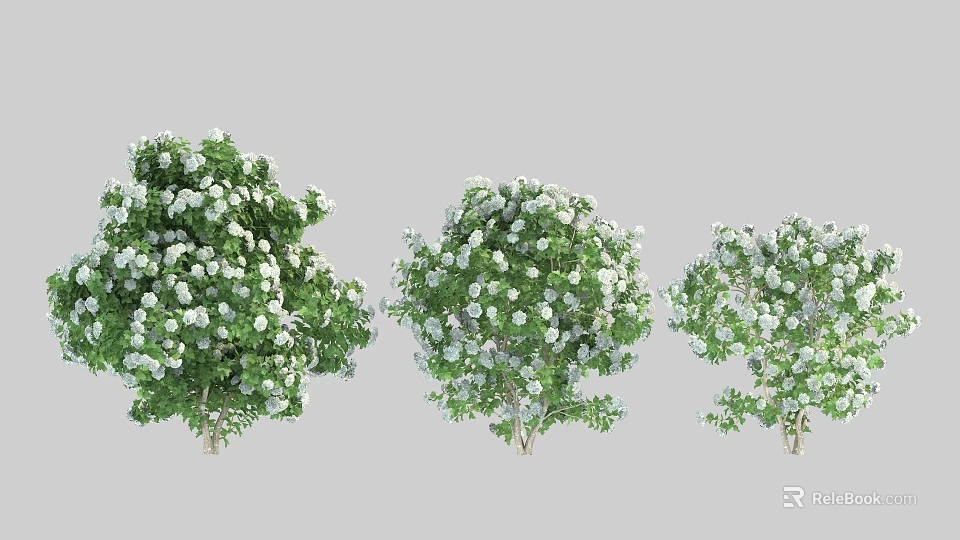 Lush Green Shrubs With White Flowers For Garden Landscape Design 3d model 
