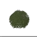Lush Round Green Shrub with Clear Height Measurement Scale in Centimeters 3d model