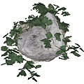 Natural Stone Covered With Lush Ivy Vines And Green Leaves