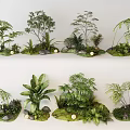 Various Decorative Plant Combinations With Ferns Green Plants Small Shrubs And Stones For Natural Decor