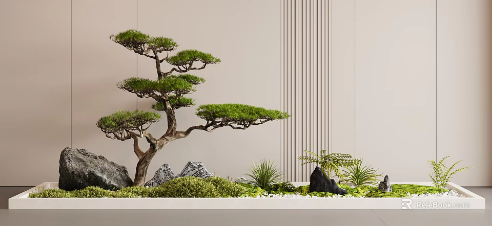 Serene Indoor Landscape With Pine Tree Rocks Green Plants And Light Wall With Vertical Stripes 3d model 