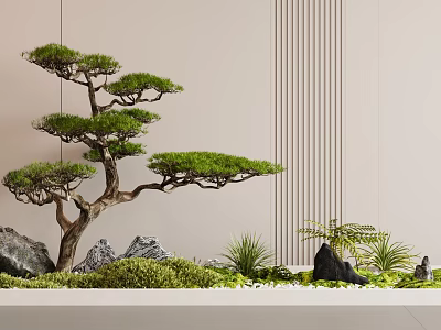 Serene Indoor Landscape With Pine Tree Rocks Green Plants And Light Wall With Vertical Stripes 3d model