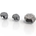 Three Grey Hair Wigs as Daily Life Accessories with Natural Texture and Soft Material