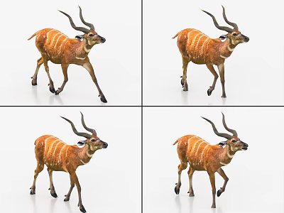 Graceful Antelope With Long Horns And Striped Fur Walking In Four Poses 3d model