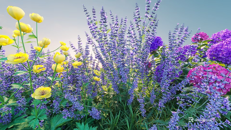 Colorful Garden Flowers With Purple Lavender Yellow Blooms And Green Leaves 3d model 