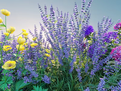 Colorful Garden Flowers With Purple Lavender Yellow Blooms And Green Leaves 3d model