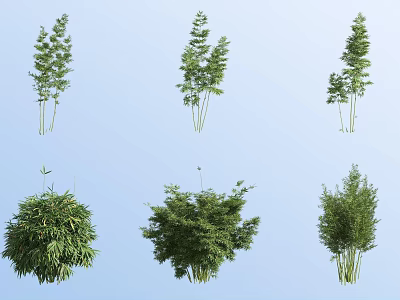 Various Bamboo Varieties With Different Shapes And Lush Green Foliage 3d model