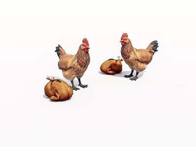Animal Poultry Chicken 3d model Animal Poultry Chicken 3d model