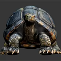 Turtle With Vibrant Blue Green Patterned Shell Crawling On Smooth Dark Surface 3d model