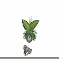 Detailed Reptile Sculpture Ornament With Glass Vase And Green Foliage Plants