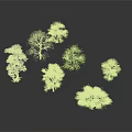 Various Forms And Colors Of Trees Including Blue Green And Leafless On Gray Background